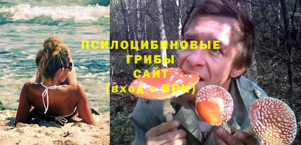 apvp Нея
