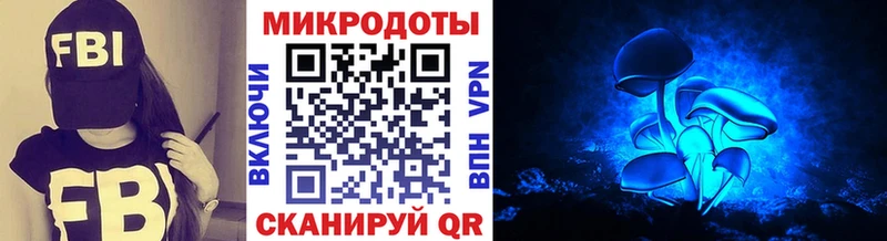блэк спрут зеркало  Лосино-Петровский  Псилоцибиновые грибы GOLDEN TEACHER 