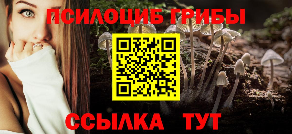Галлюциногенные грибы Psilocybine cubensis Лосино-Петровский