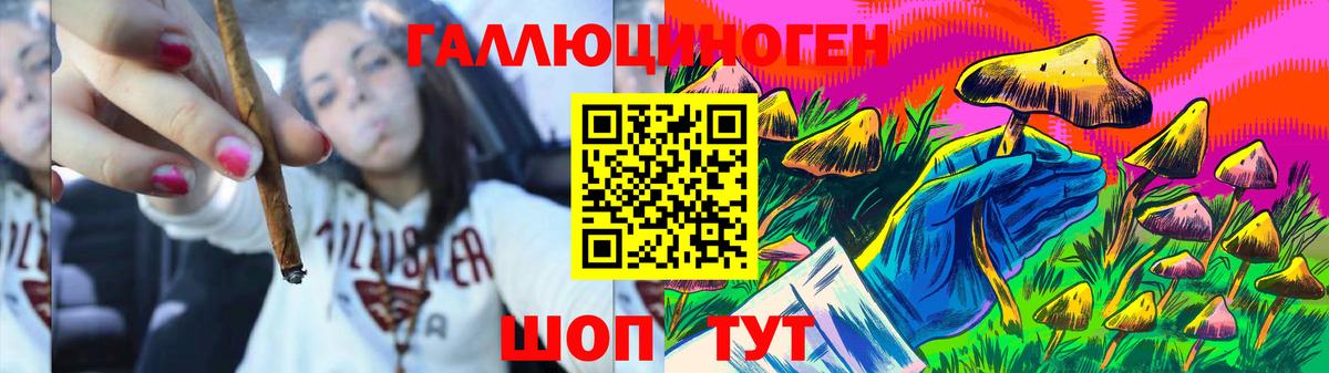 Псилоцибиновые грибы прущие грибы  Псилоцибиновые грибы GOLDEN TEACHER  Лосино-Петровский 