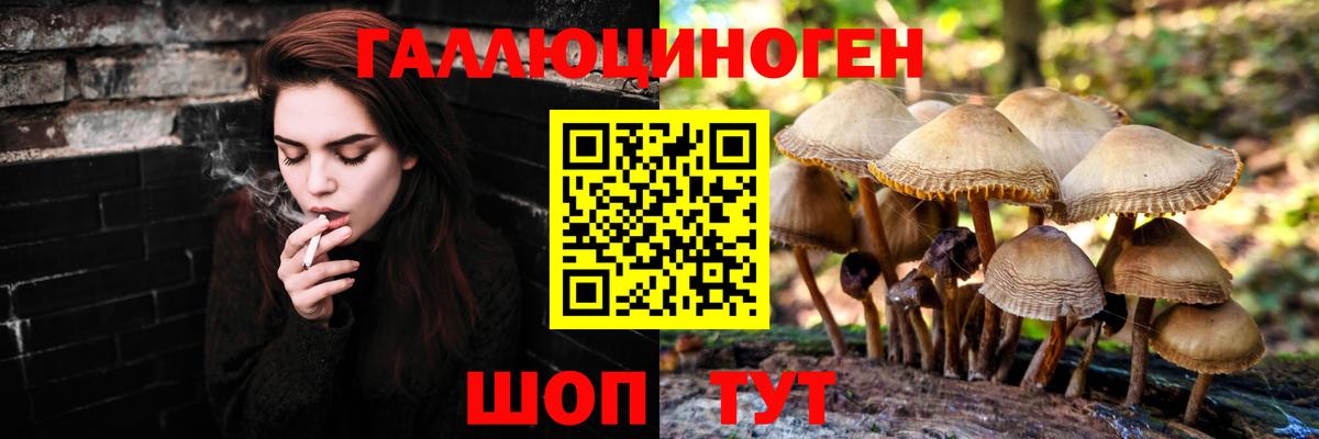 Псилоцибиновые грибы MAGIC MUSHROOMS  Вход с VPN  Галлюциногенные грибы Psilocybine cubensis  Лосино-Петровский 
